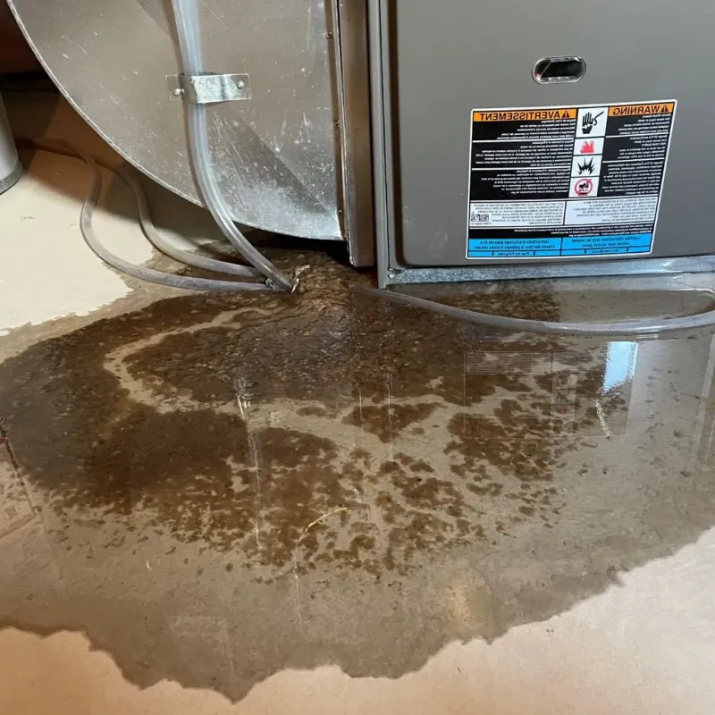 Pipe Burst and Leak Restoration in Oklahoma City, OK